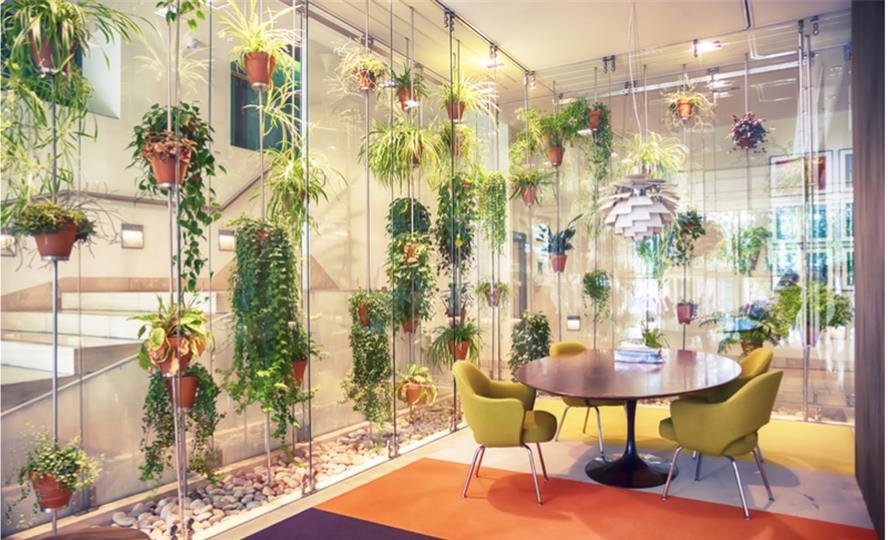 Green wall lounge architectural design, Ahmedabad